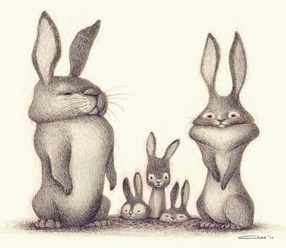 rabbit_family