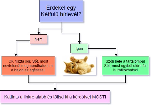 ketfulu_flowchart